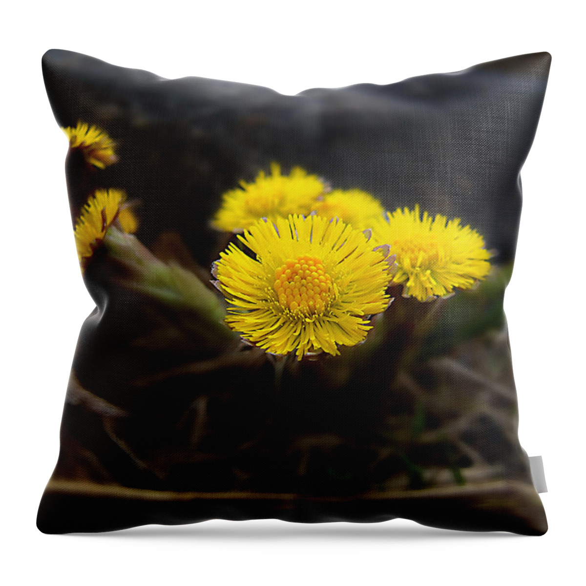 Arrangement Throw Pillow featuring the photograph Flower Weed by Svetlana Sewell