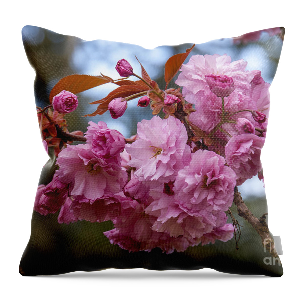 Flowering Almond Throw Pillow featuring the photograph Flowering Almond II by Chuck Flewelling