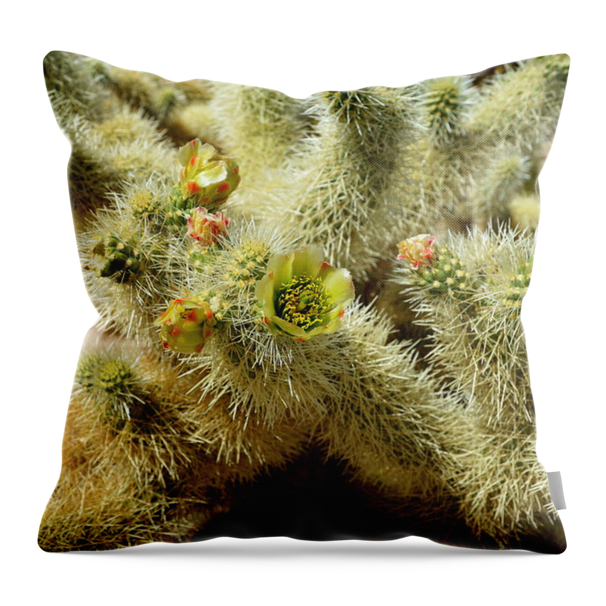 Glenn Mccathy Throw Pillow featuring the photograph Flowering Cholla Cactus - Joshua Tree National Park by Glenn McCarthy Art and Photography