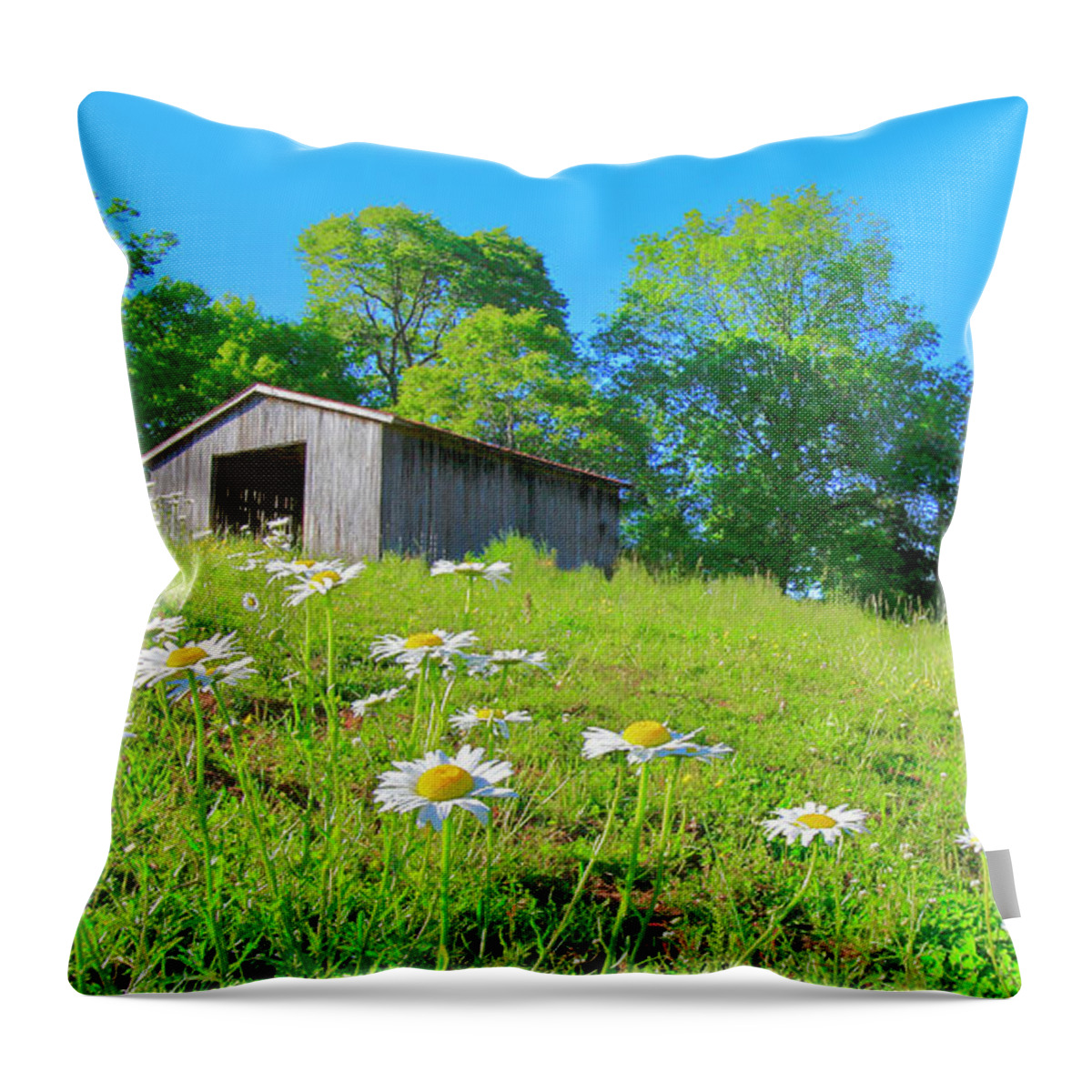 Barn Throw Pillow featuring the photograph Flowering Hillside Meadow - View 2 by The James Roney Collection