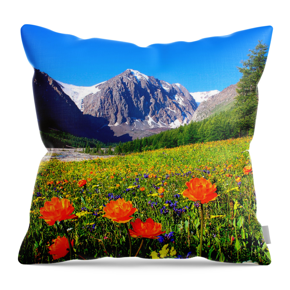 Russian Artists New Wave Throw Pillow featuring the photograph Flowering Valley. Mountain Karatash by Victor Kovchin