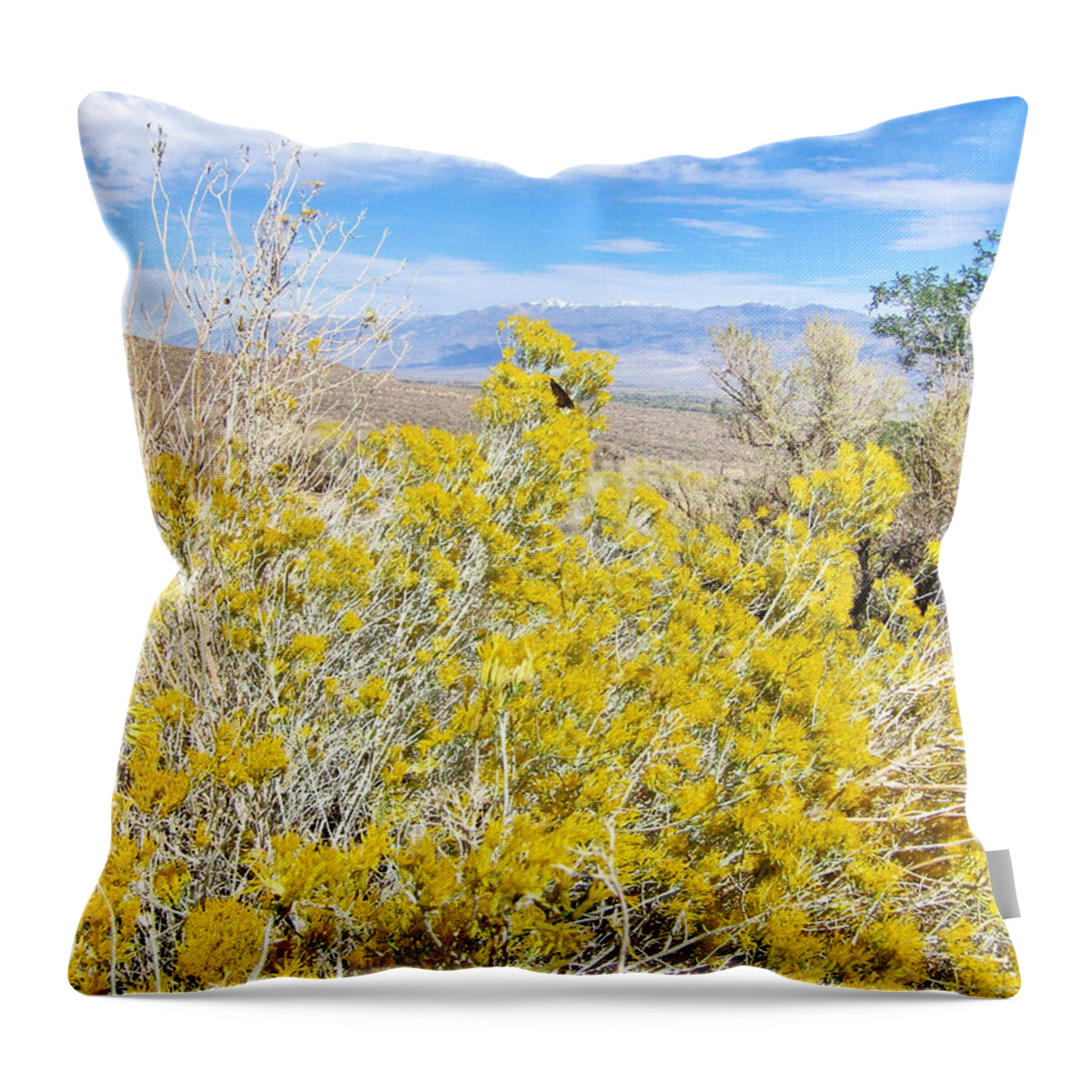 Sky Throw Pillow featuring the photograph Flowering Yellow by Marilyn Diaz