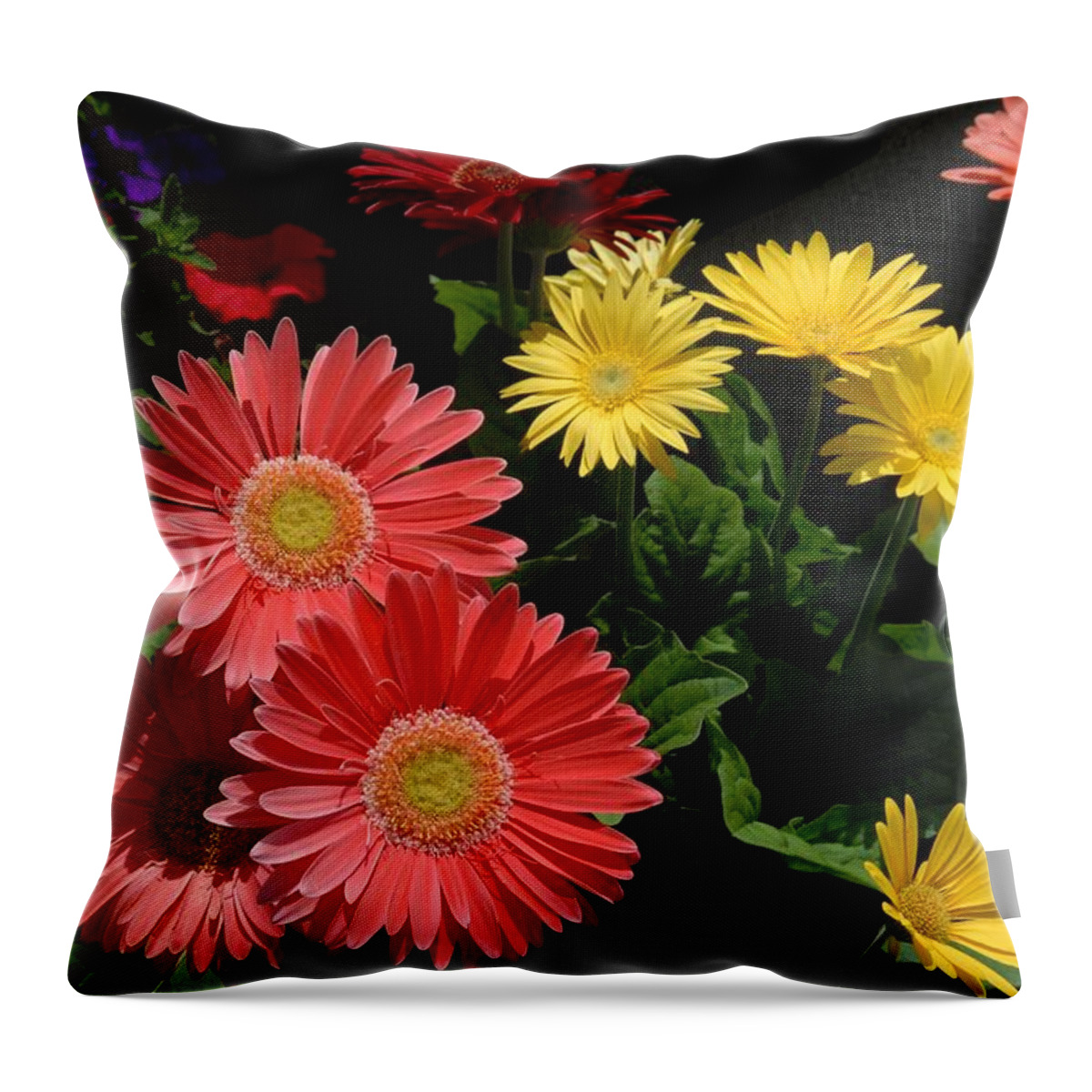 Splendid Pink Hibiscus With White Accents And Green Leaves Under July Sunlight At Freehold Throw Pillow featuring the photograph Flowers 728 by Joyce StJames