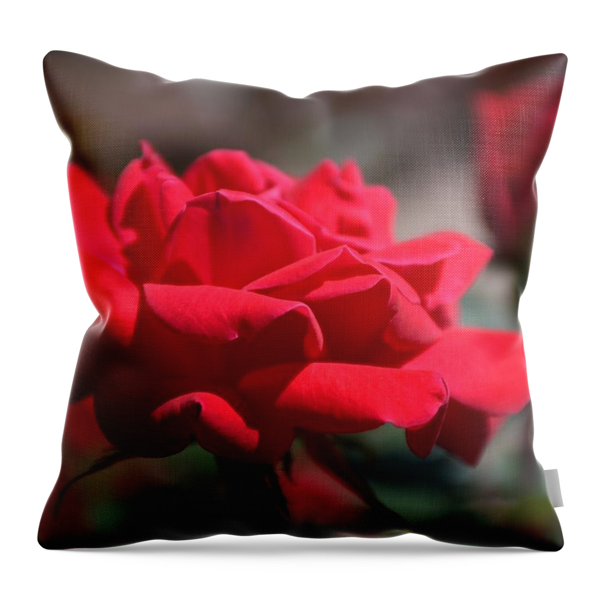 Rose Throw Pillow featuring the photograph Flowers 797 by Joyce StJames
