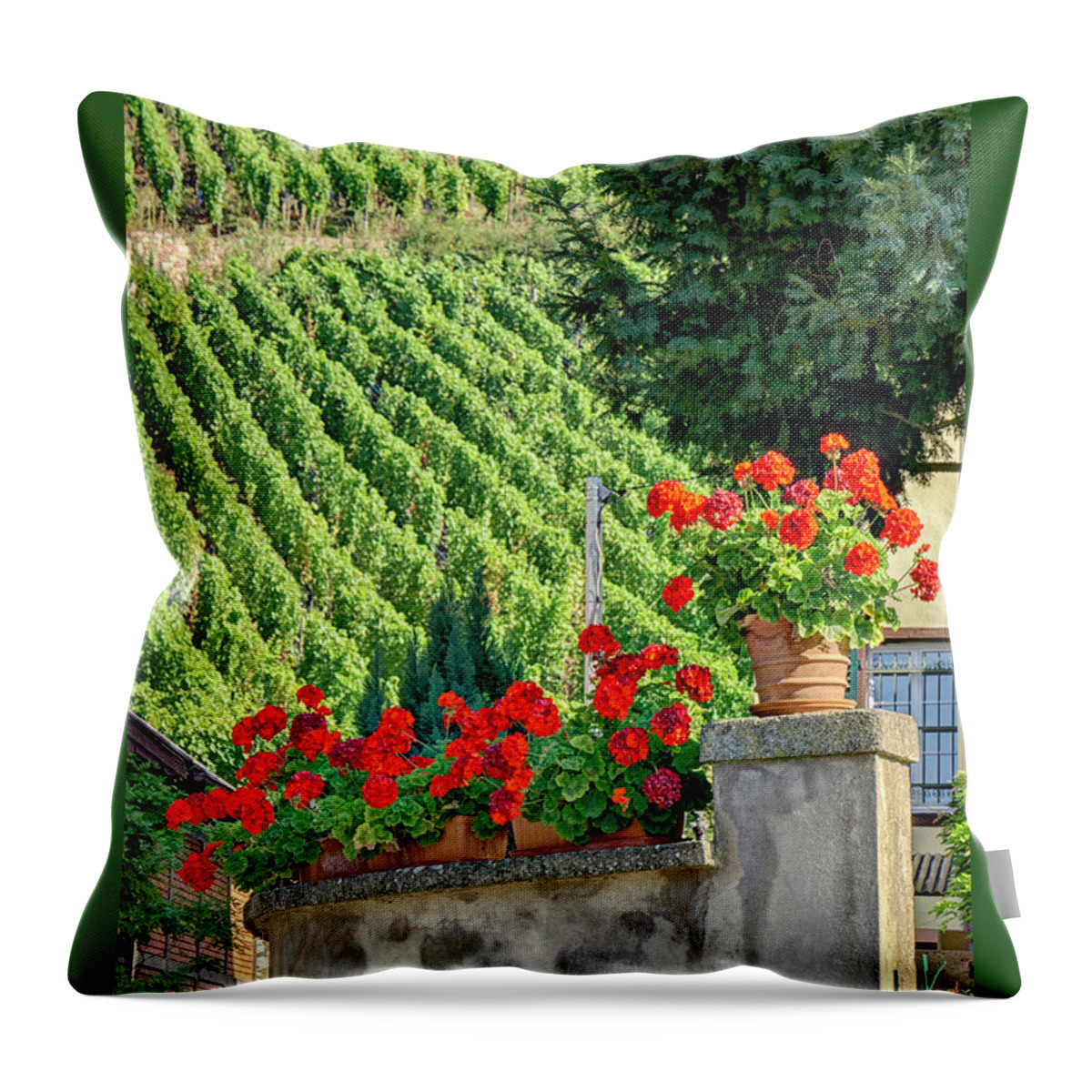 France Throw Pillow featuring the photograph Flowers and Vines by Alan Toepfer