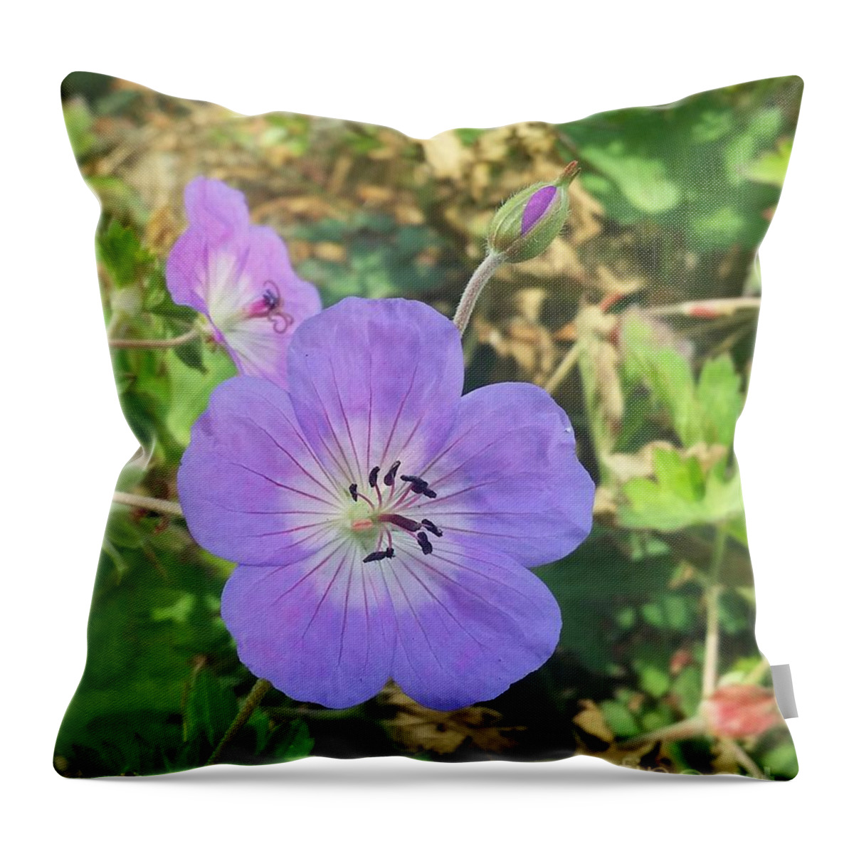 Morning Glorys Throw Pillow featuring the photograph FLoweRS by Angela J Wright