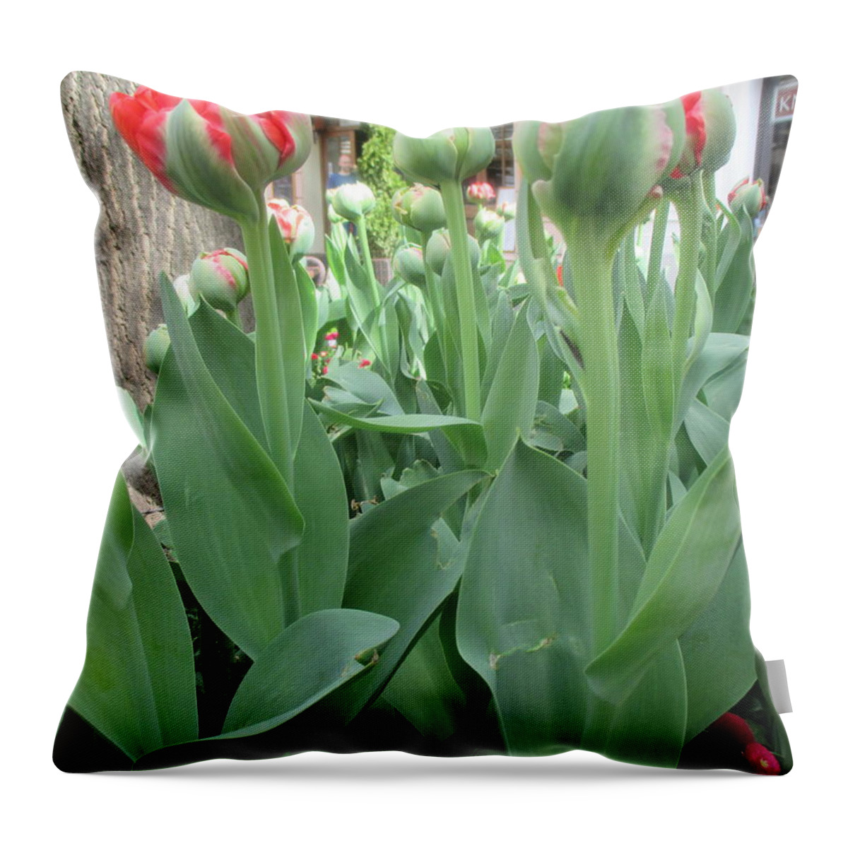 Flowers Throw Pillow featuring the photograph Flowers Appearing In The Park by Anamarija Marinovic