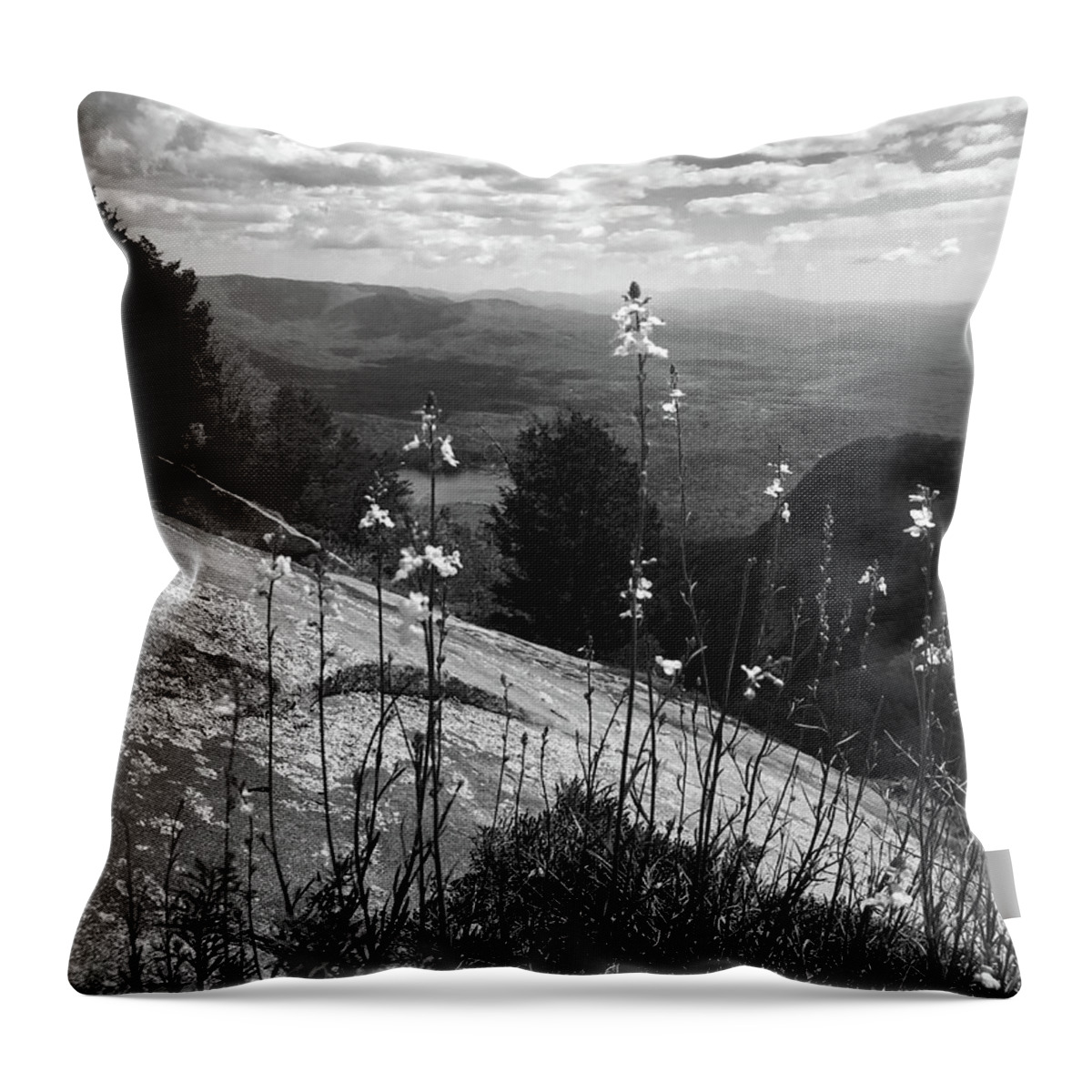 Kelly Hazel Throw Pillow featuring the photograph Flowers at the Top of Table Rock Trail by Kelly Hazel