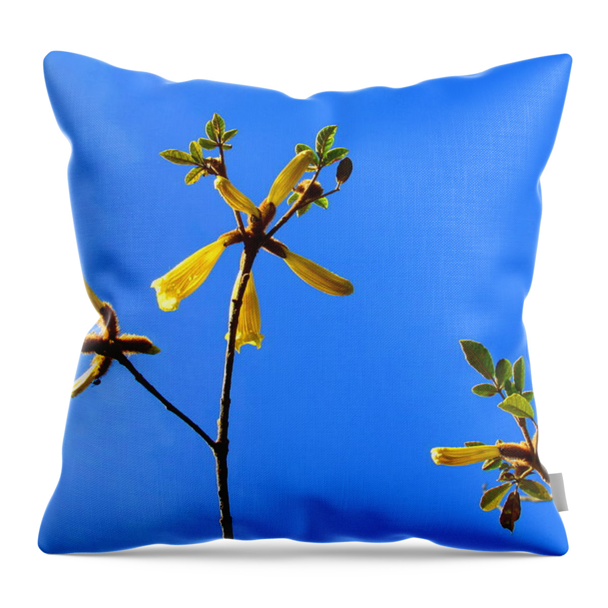 Orchid Throw Pillow featuring the photograph Flowers by Cesar Vieira