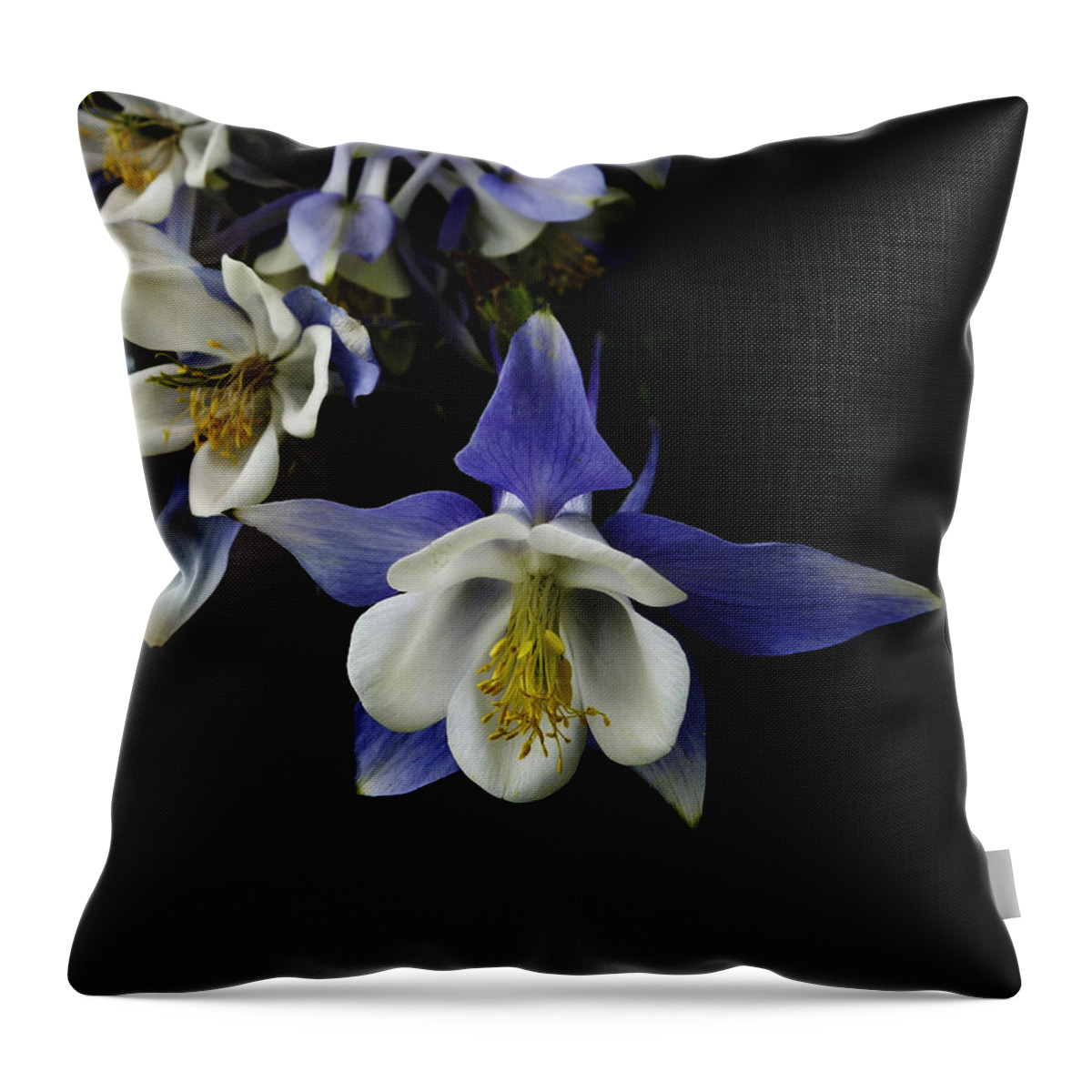 Columbine Throw Pillow featuring the photograph flowers- Columbine - photography by Ann Powell