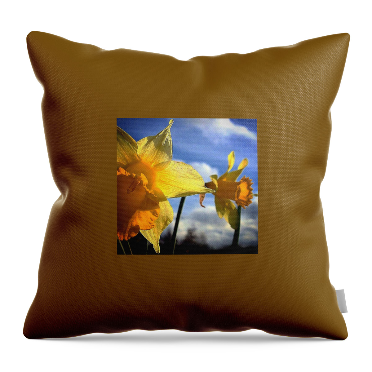 Daffodil Throw Pillow featuring the photograph Daffodil #1 by Grace Smith