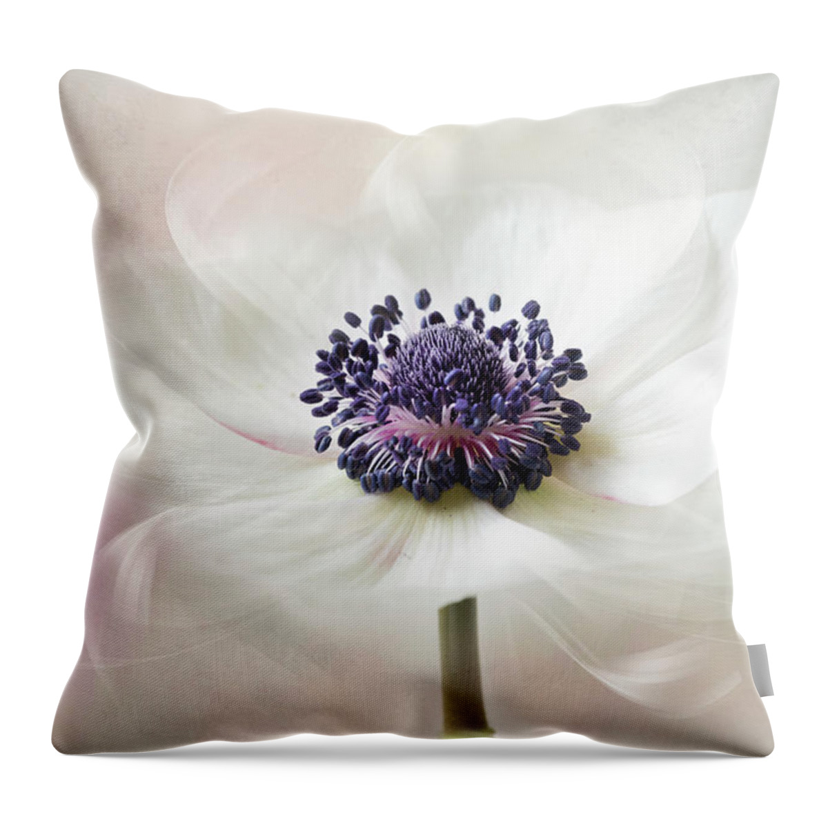 Anemone Throw Pillow featuring the photograph Flowers from venus by Usha Peddamatham