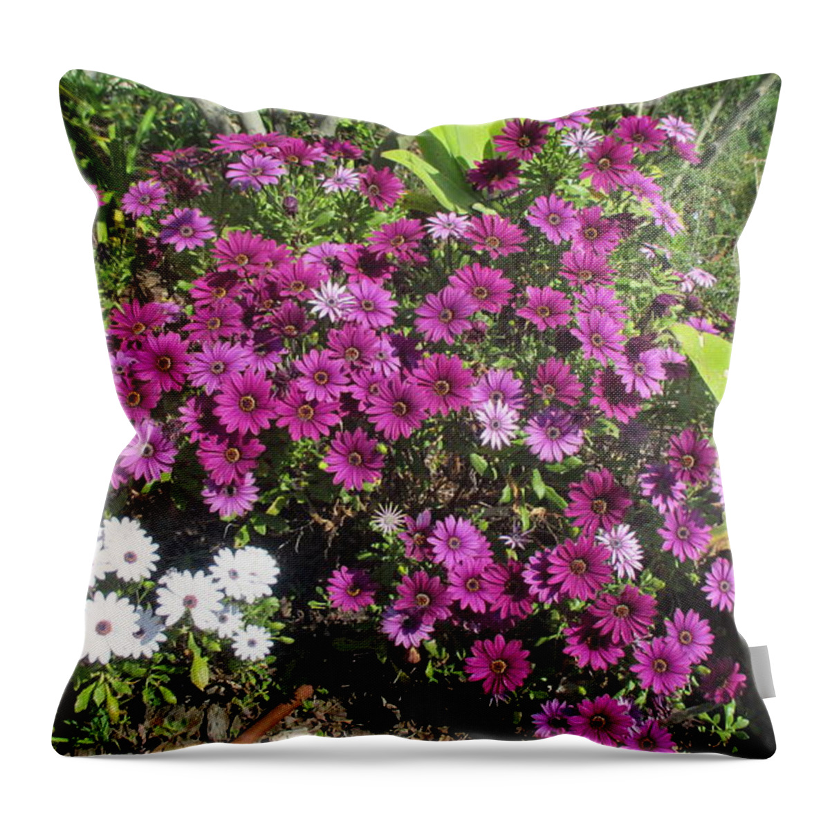 Flowers Throw Pillow featuring the photograph Flowers in Lisbon by Anamarija Marinovic