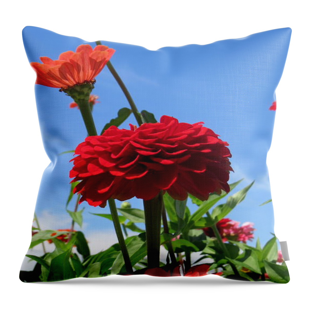 Garden Throw Pillow featuring the photograph Flowers in the Blue by Jeanette Oberholtzer