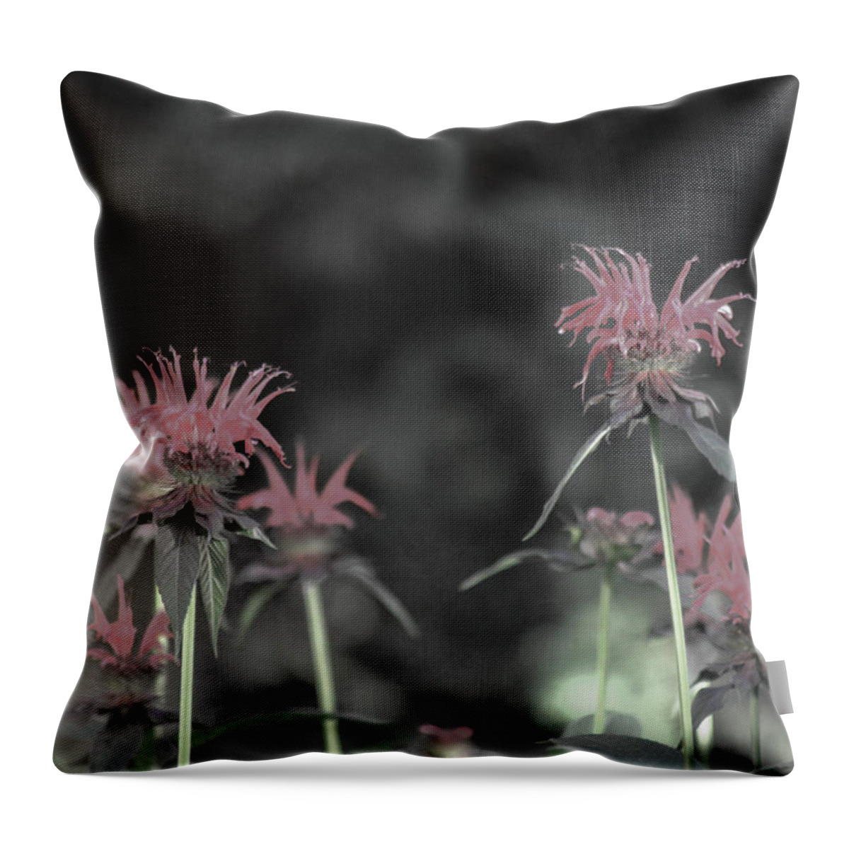 Flowers Throw Pillow featuring the photograph Flowers by Julien Boutin