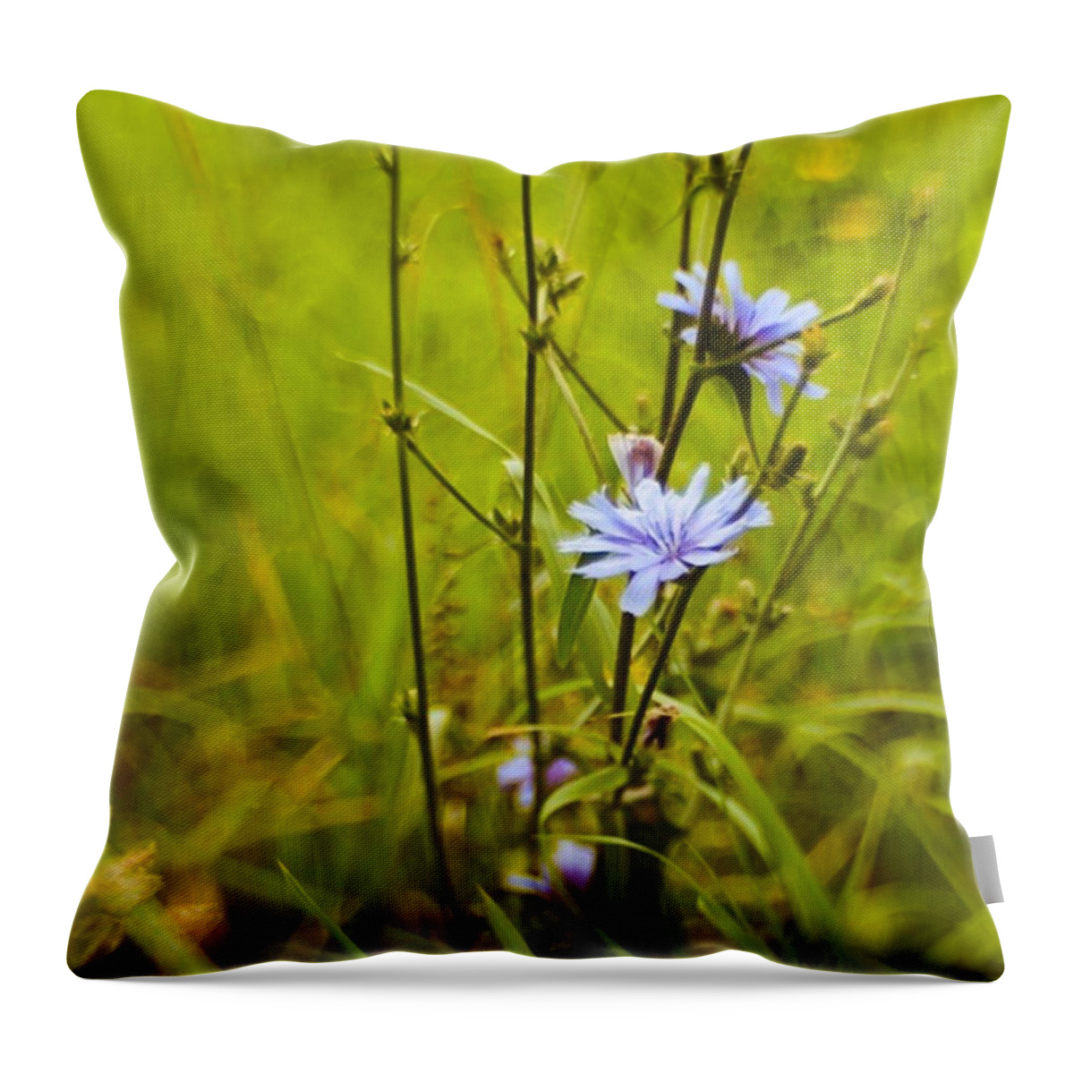 Composerpro Throw Pillow featuring the photograph #flowers #lensbaby #composerpro by Mandy Tabatt