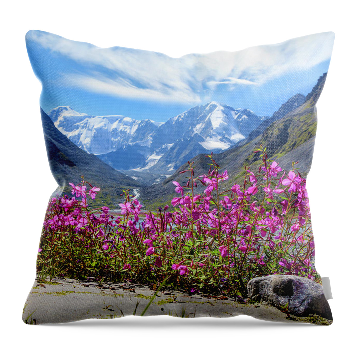 Russian Artists New Wave Throw Pillow featuring the photograph Flowers of the Mountains, Altai by Victor Kovchin