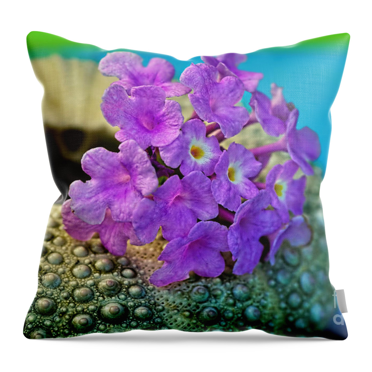 Photography Throw Pillow featuring the photograph Flowers on a Shell by Kaye Menner by Kaye Menner