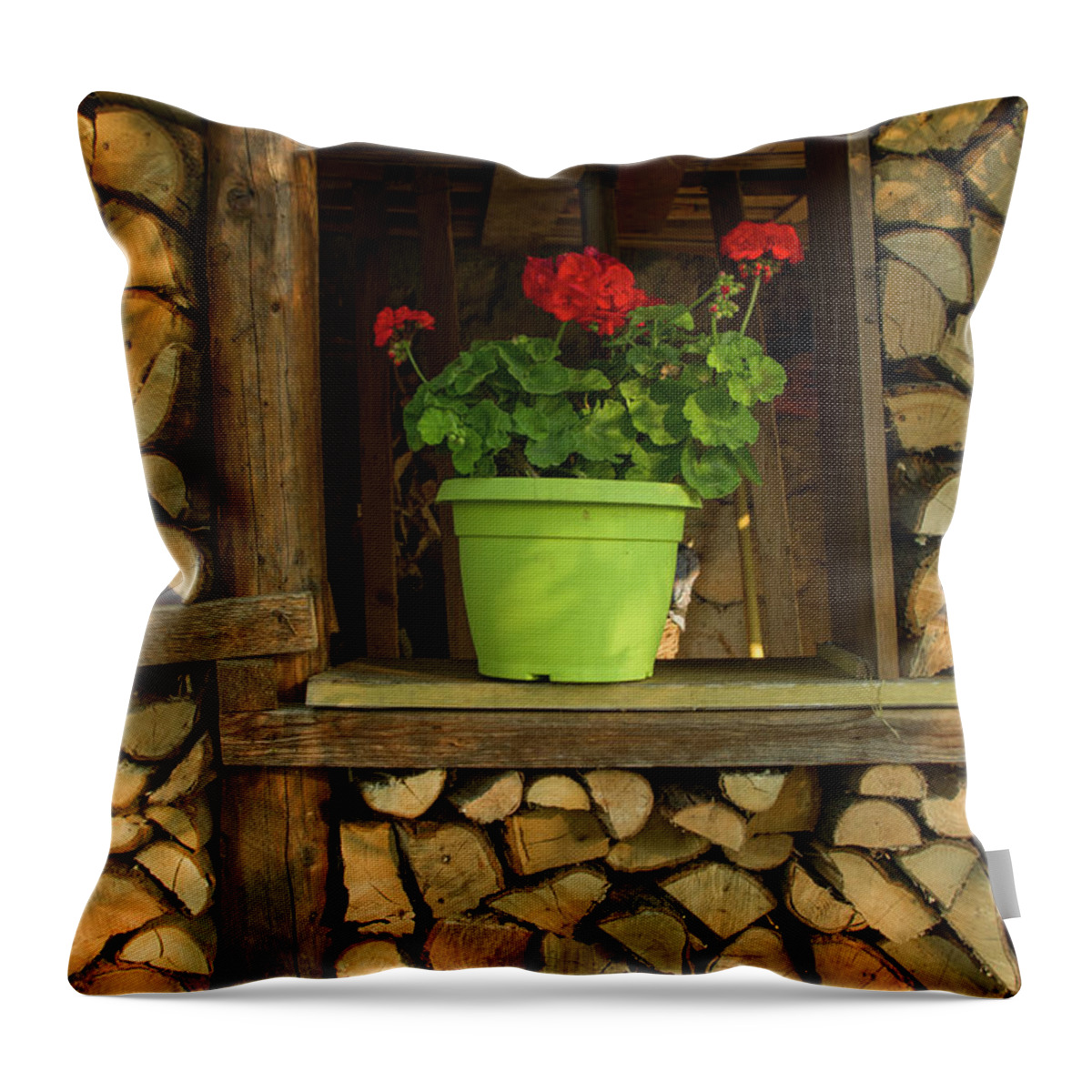 Woodshed Throw Pillow featuring the photograph Flowers on the woodshed window by Nicola Aristolao