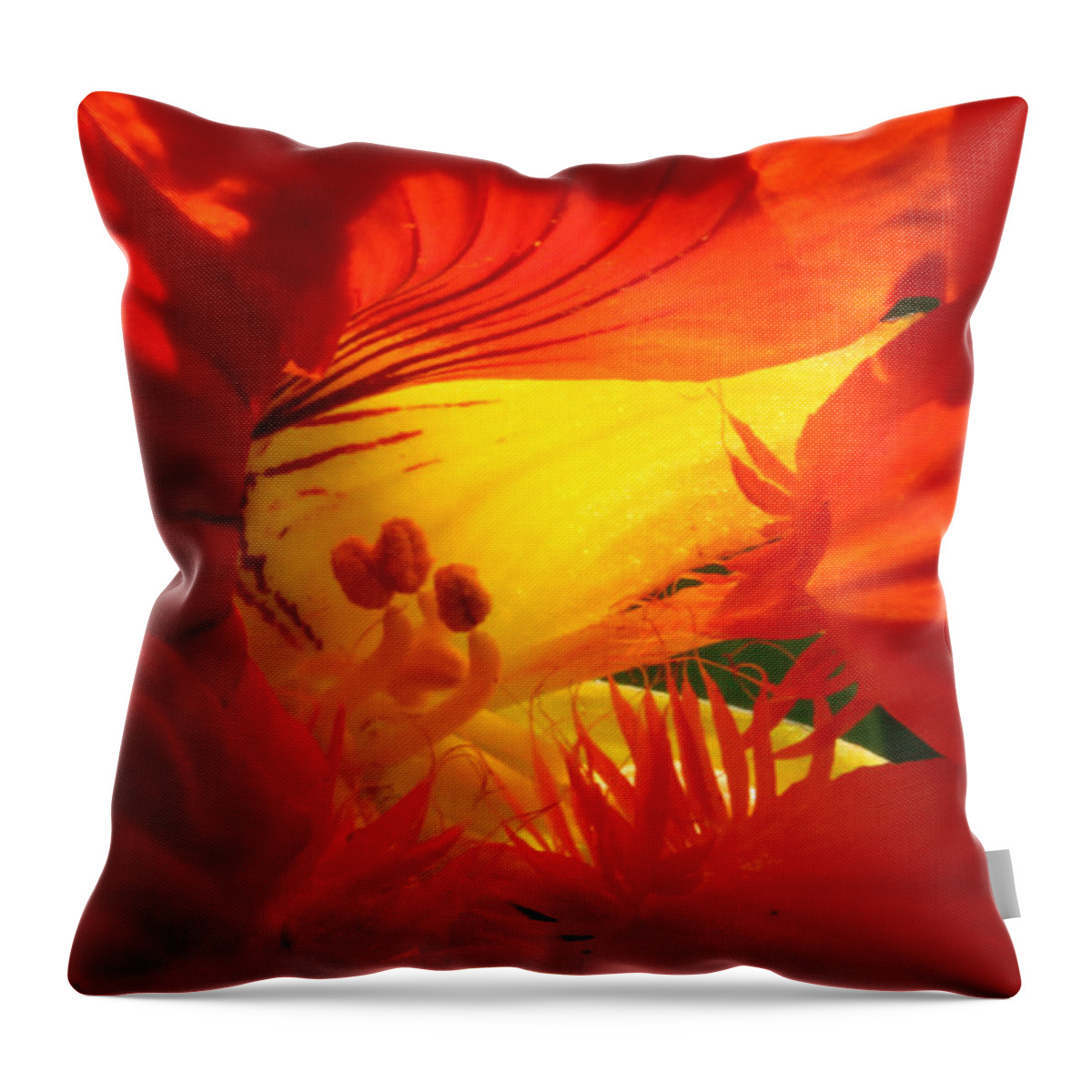Orange Throw Pillow featuring the photograph Flowerscape Nasturtium Two by Laura Davis