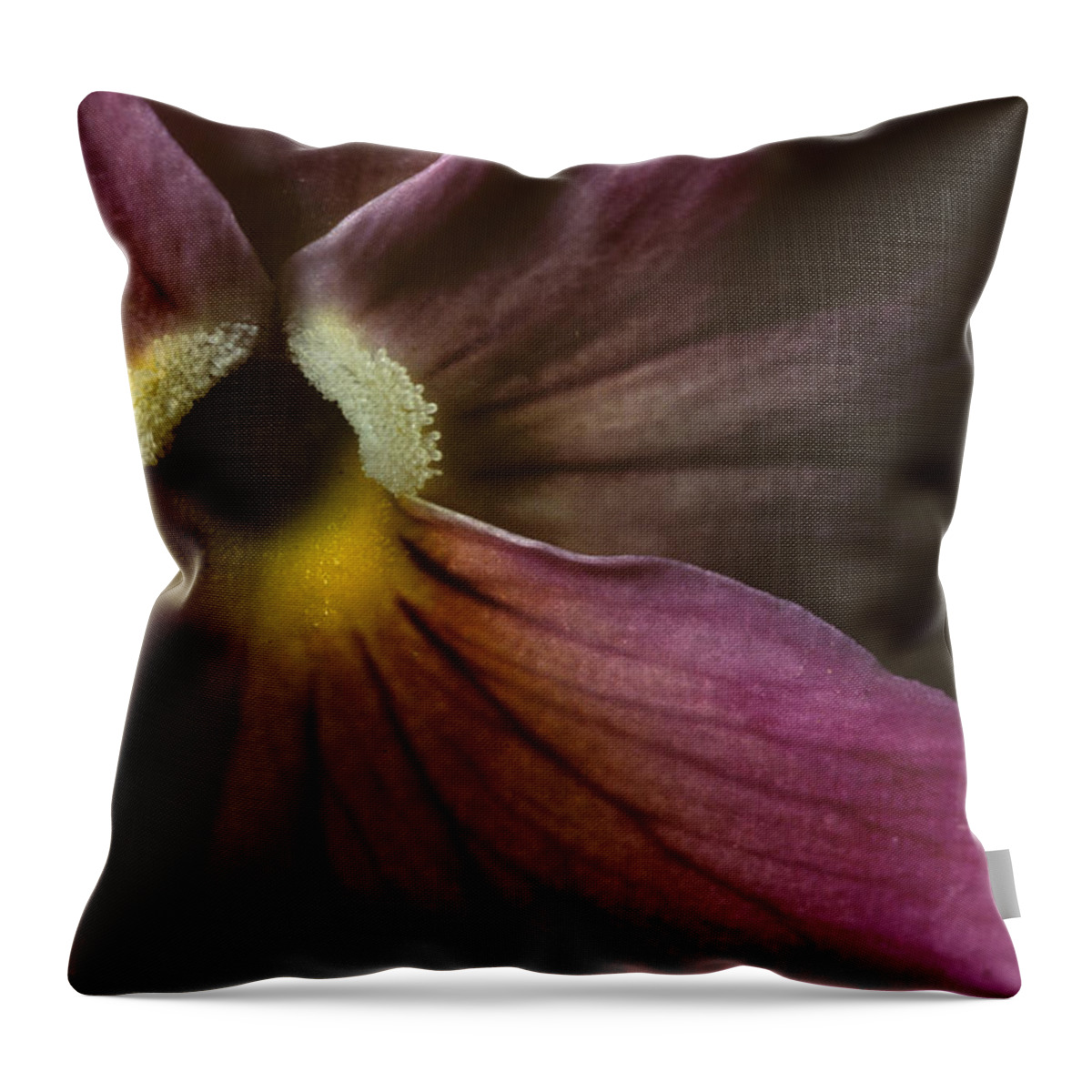 Pansy Throw Pillow featuring the photograph Flowerscape Pansy One by Laura Davis