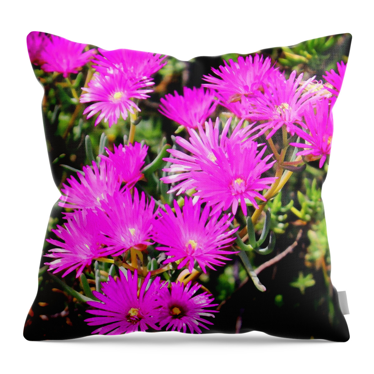 Flowers Throw Pillow featuring the photograph Flowerworks by Timothy Bulone