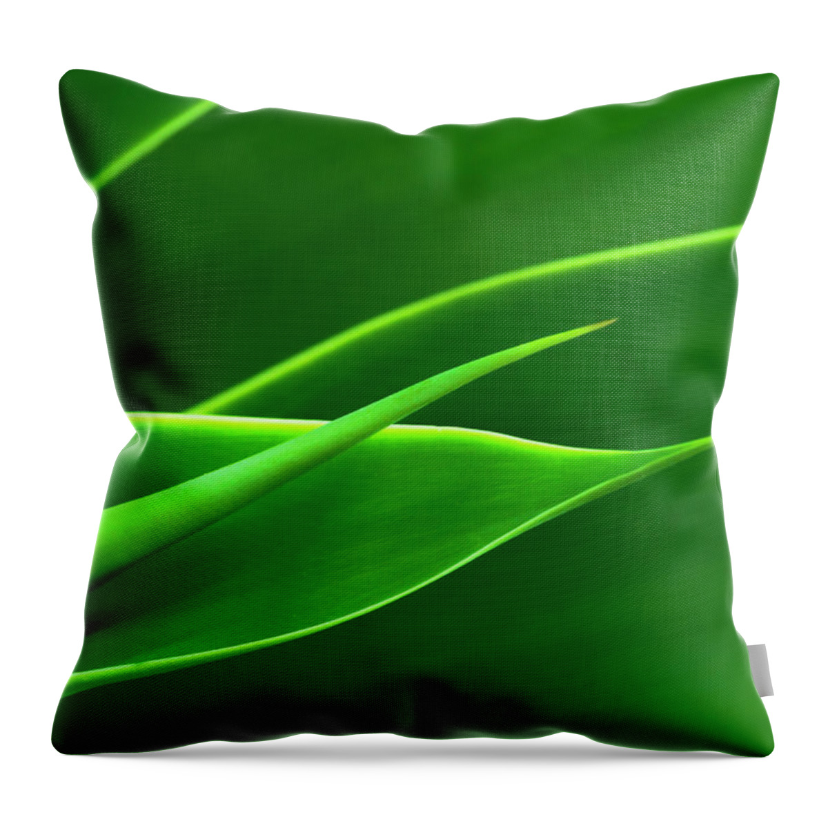 Flora Throw Pillow featuring the photograph Flowing Green by Richard Macquade