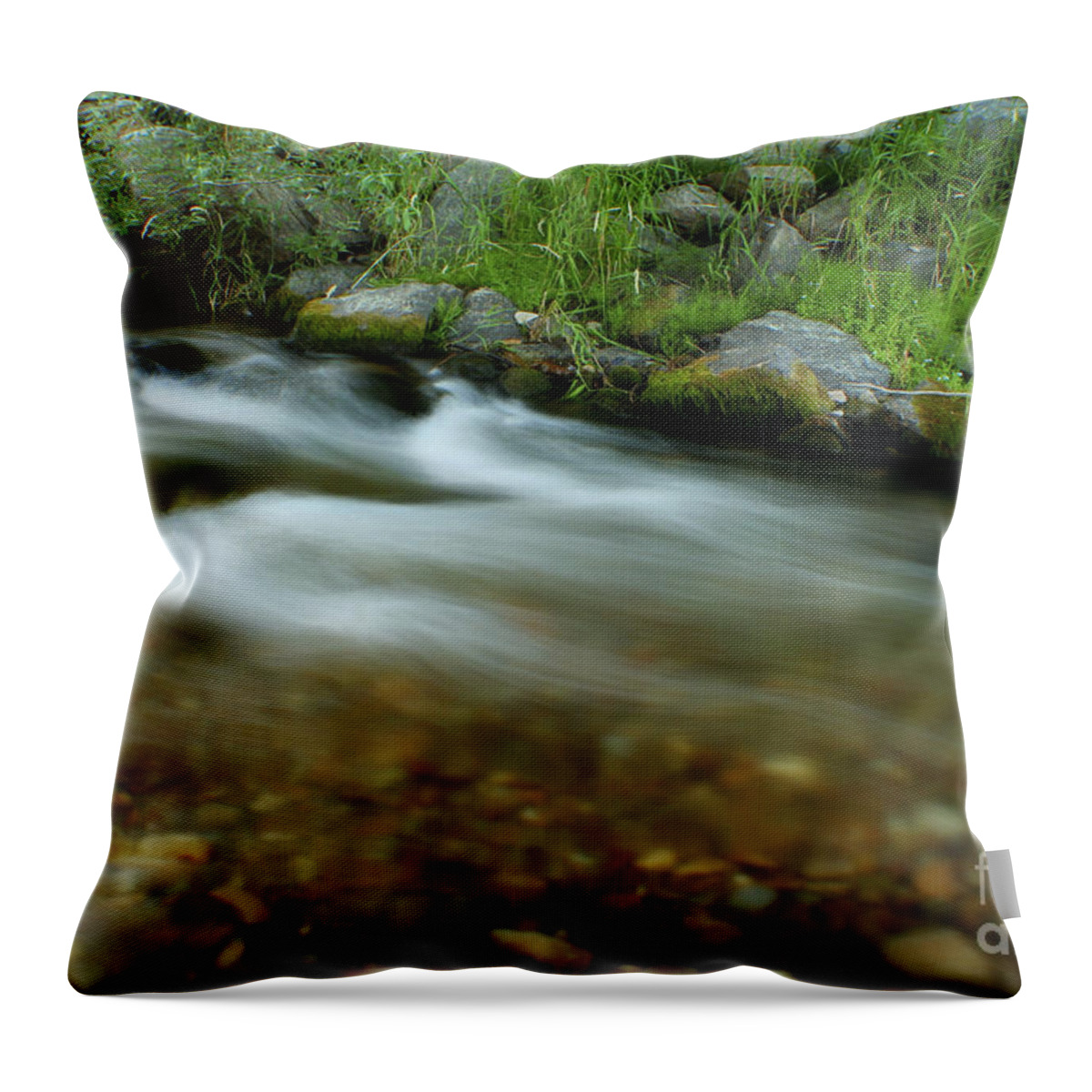 River Throw Pillow featuring the photograph Flowing by Idaho Scenic Images Linda Lantzy