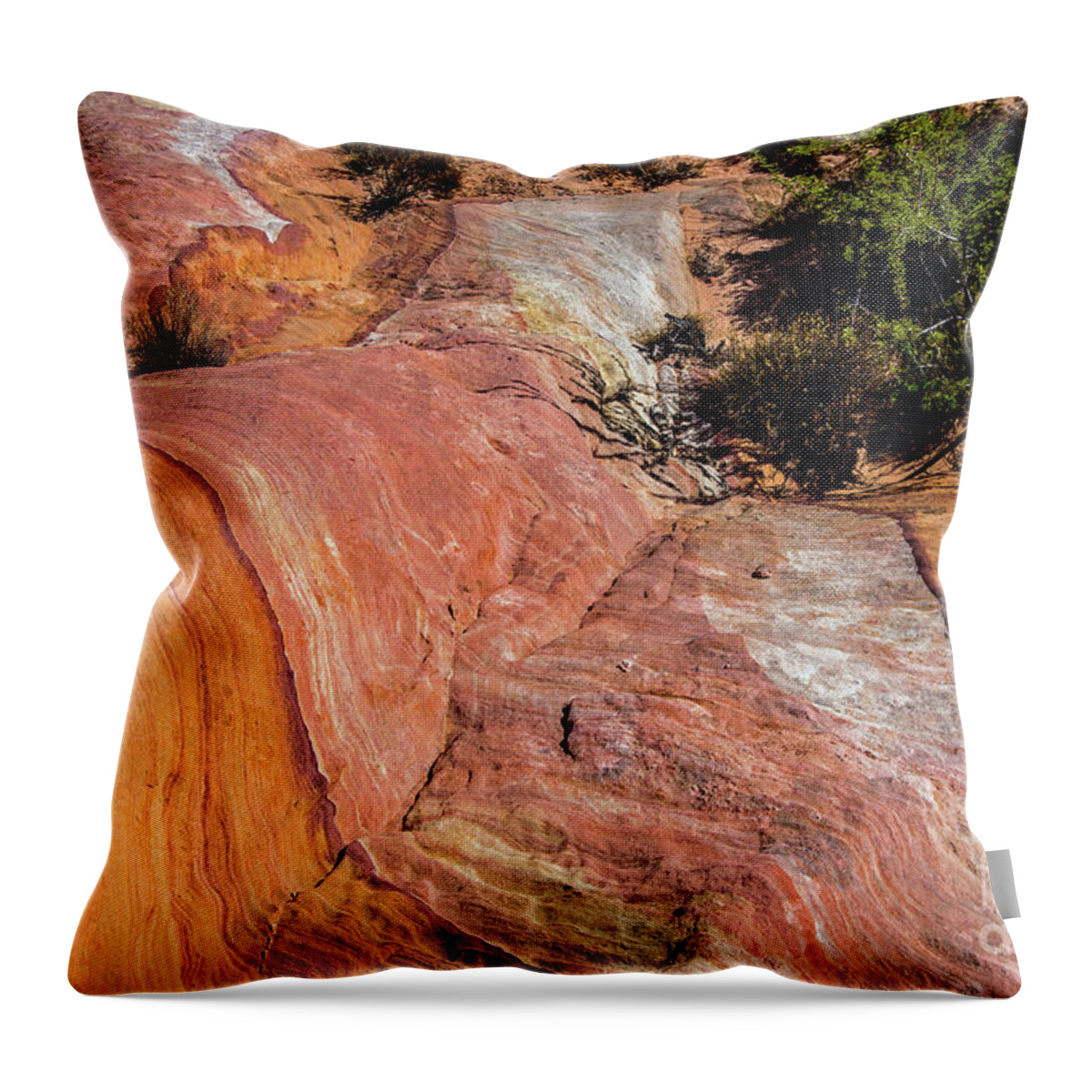 Valley Of Fire Throw Pillow featuring the photograph Flowing Rock by Stephen Whalen