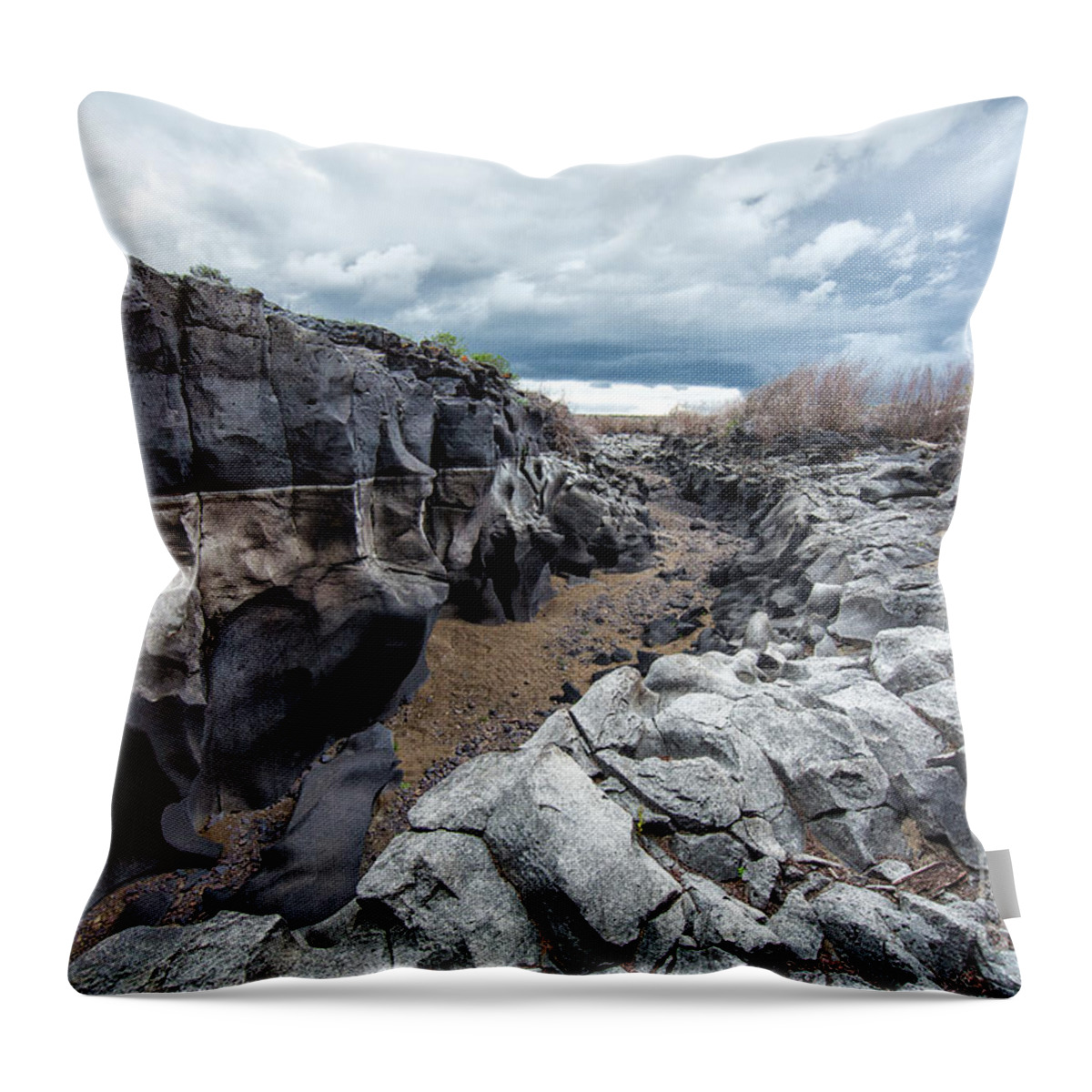 Black Magic Canyon Throw Pillow featuring the photograph Flowing to the Storm Idaho Journey Landscape Art by Kaylyn Franks by Kaylyn Franks