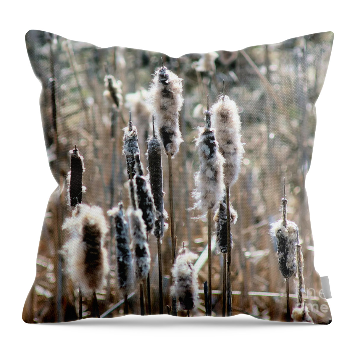 Cattails Throw Pillow featuring the photograph Fluffy Cattails by Smilin Eyes Treasures