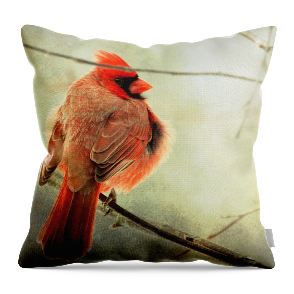 Cardinal Throw Pillow featuring the photograph Fluffy winter Cardinal by Al Mueller