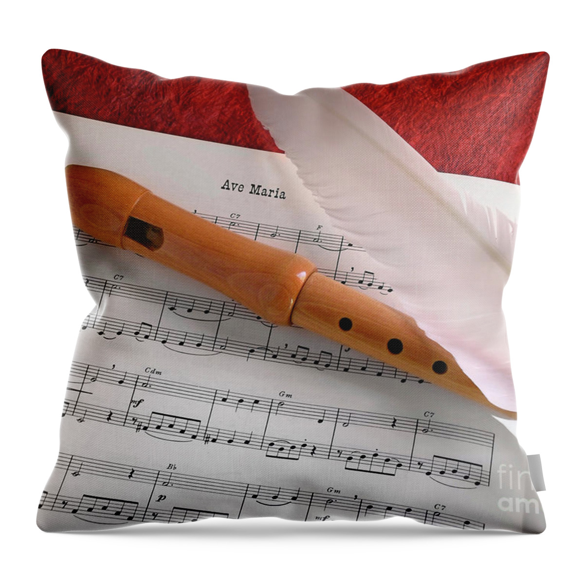 Aged Throw Pillow featuring the photograph Flute and Feather by Carlos Caetano