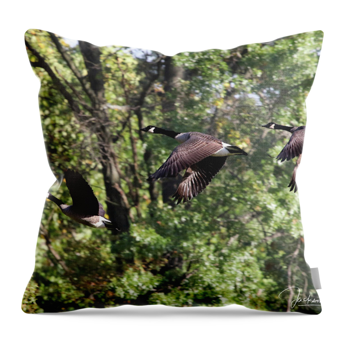 Geese Throw Pillow featuring the photograph Fly Away by Jackson Pearson