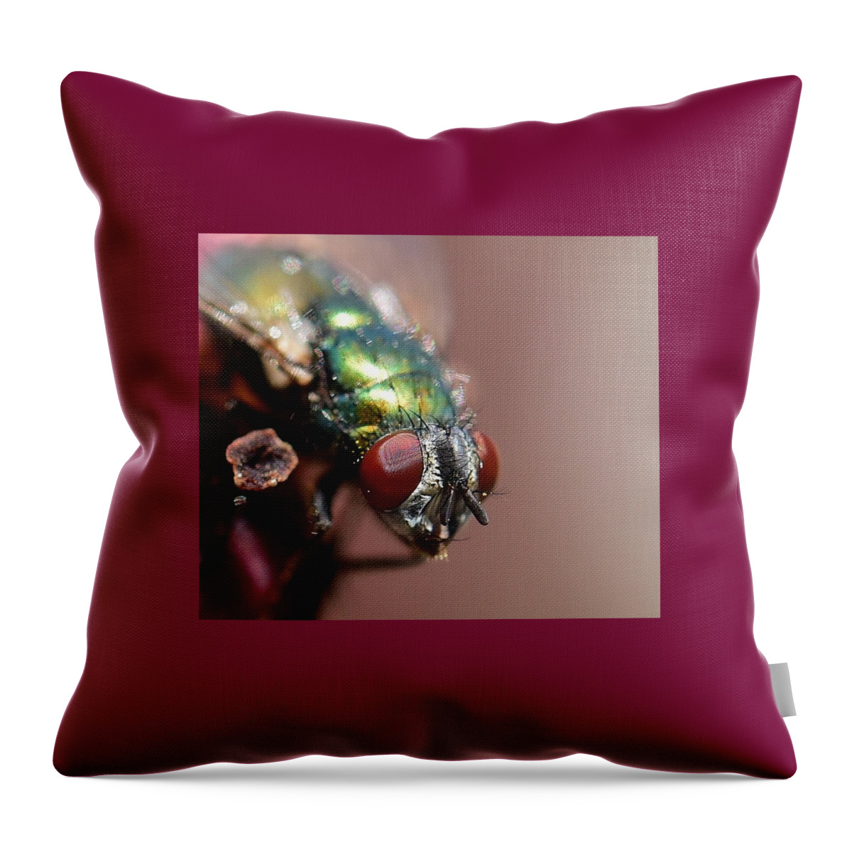 Linda Brody Throw Pillow featuring the photograph Fly Eyes by Linda Brody