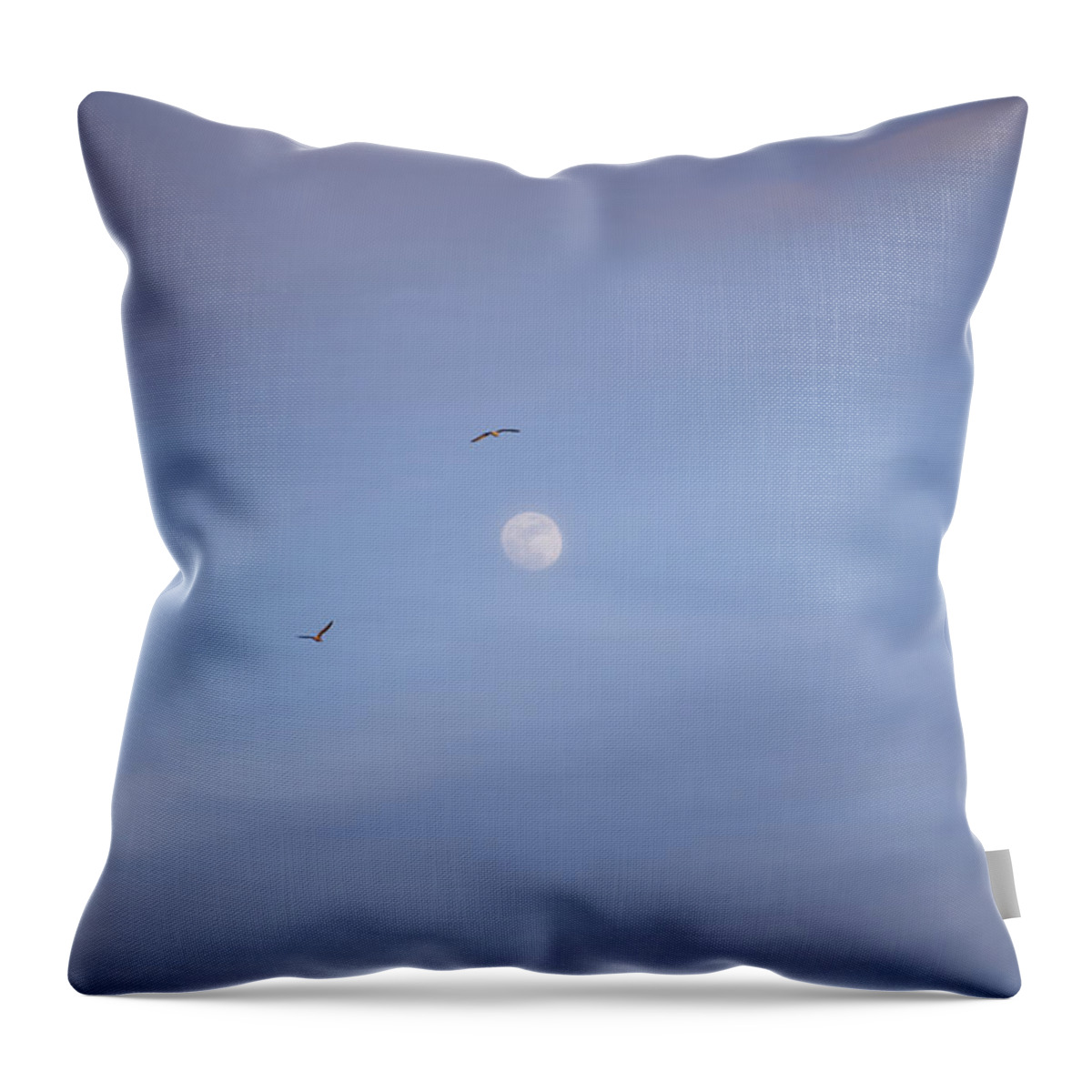 Moon Throw Pillow featuring the photograph Fly me to the moon by Toby McGuire