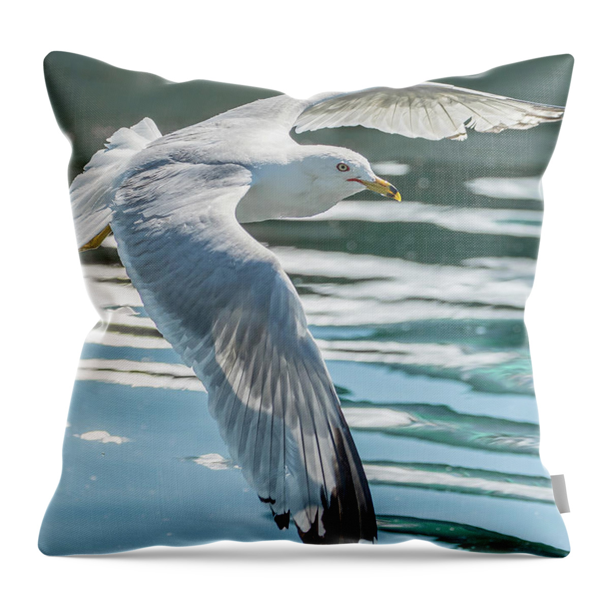 Seagull Throw Pillow featuring the photograph Flyby by Ian Sempowski