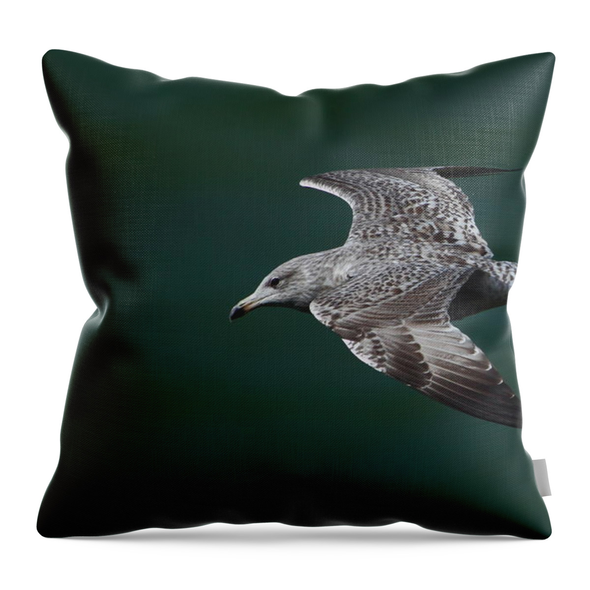 Gulls Throw Pillow featuring the photograph Flyby by Richard Patmore