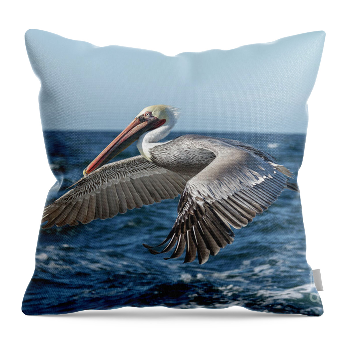 Pelican Throw Pillow featuring the photograph Flying Brown Pelican by Robert Bales
