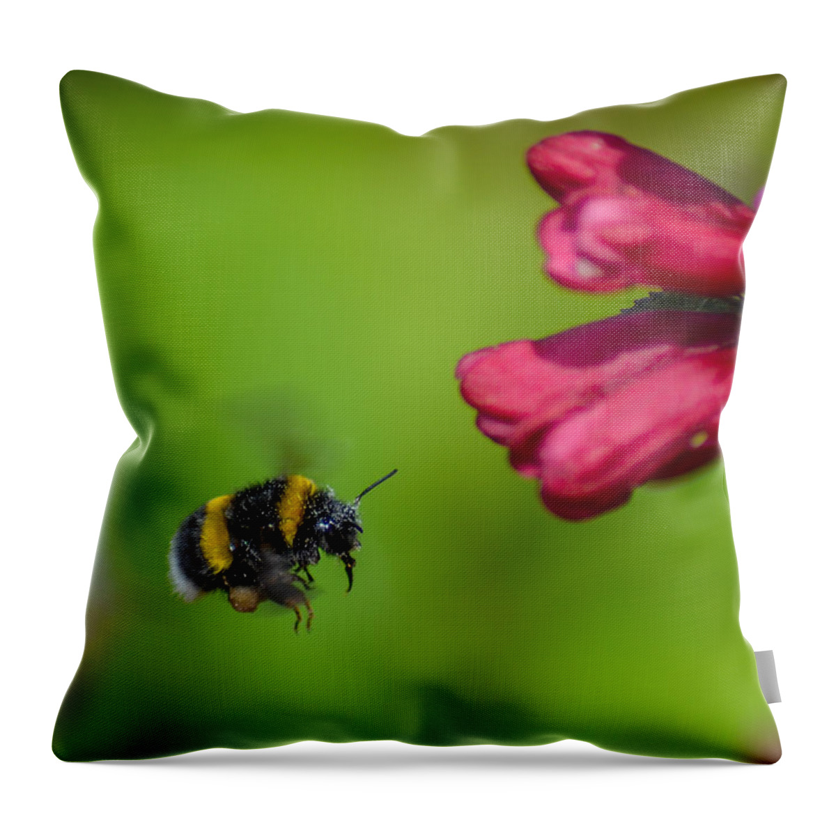 Honey Throw Pillow featuring the photograph Flying Bumblebee by Rainer Kersten