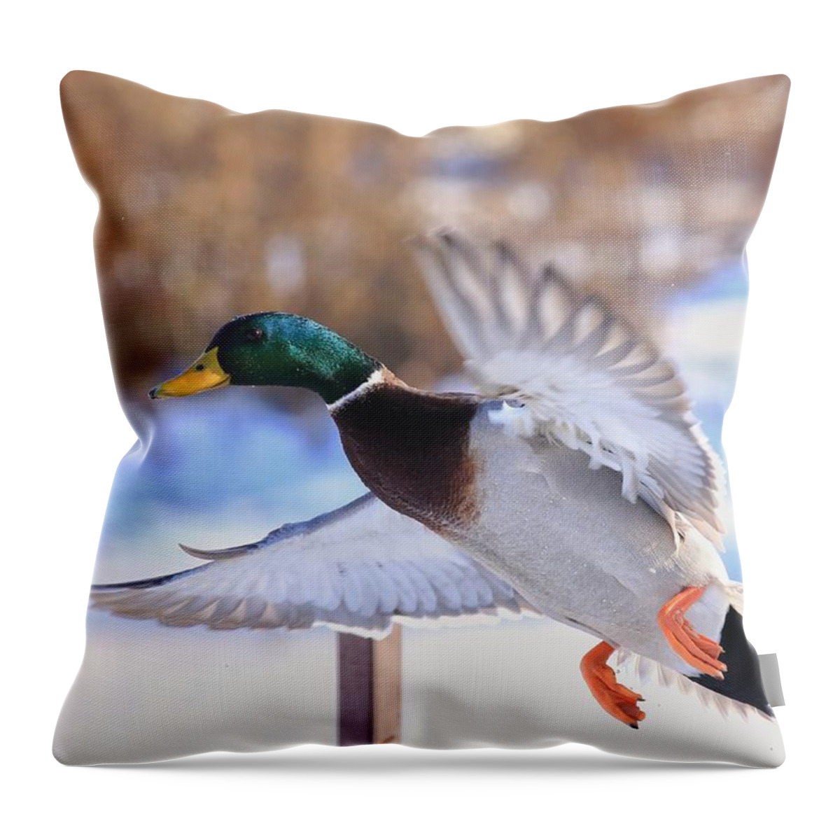 Flying By Throw Pillow featuring the photograph Flying by by Lynn Hopwood
