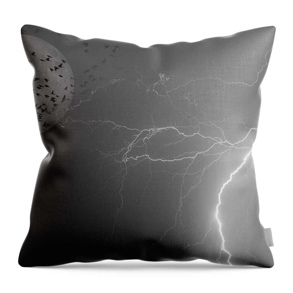 Black And White Throw Pillow featuring the photograph Flying from the Storm BW by James BO Insogna