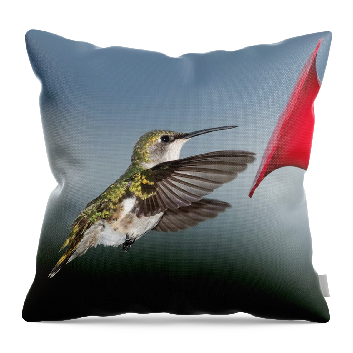 Hummingbird Throw Pillow featuring the photograph Flying Hummingbird close-up by Al Mueller