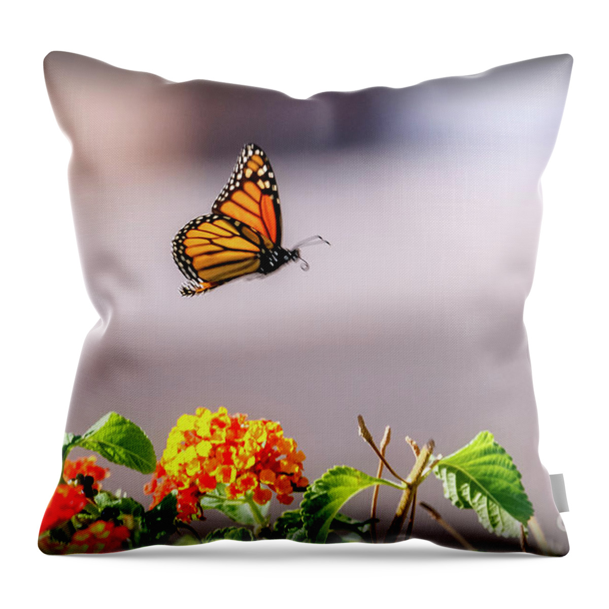 Orange Throw Pillow featuring the photograph Flying Monarch Butterfly by Robert Bales