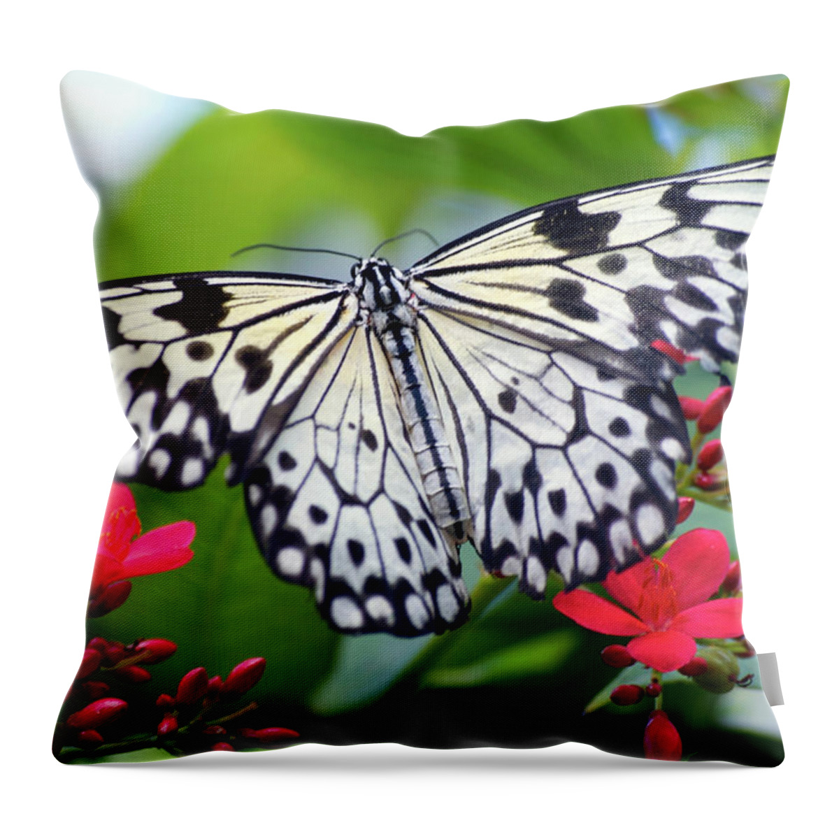 Animal Throw Pillow featuring the photograph Flying Paper Kite by Emerita Wheeling