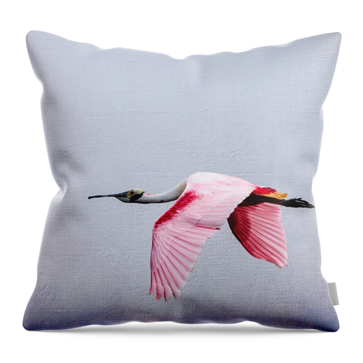 Spoonbill Throw Pillow featuring the photograph Flying Pretty Roseate Spoonbill by Debra Martz
