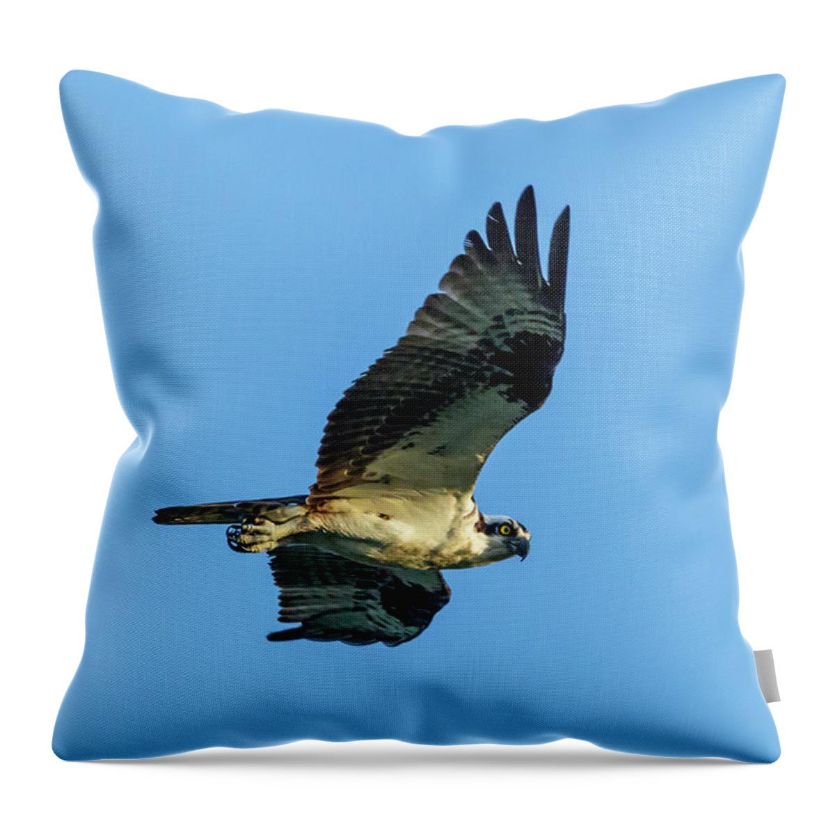 Swr Throw Pillow featuring the photograph Focus by Ray Silva