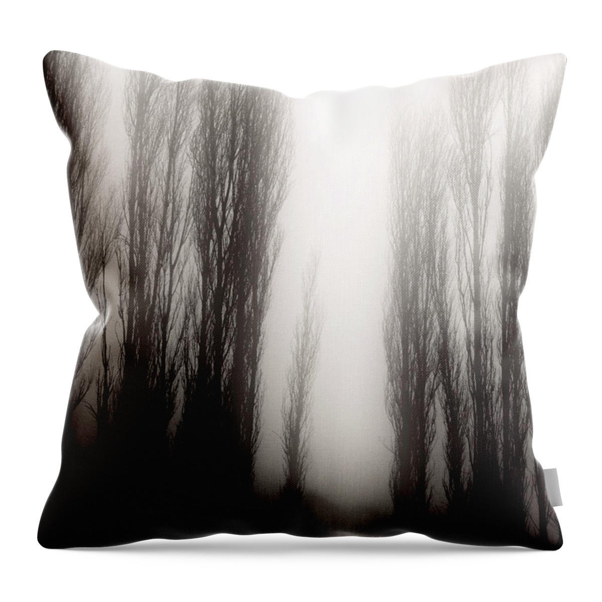 Poplar Throw Pillow featuring the photograph Fog 004 by Mimulux Patricia No