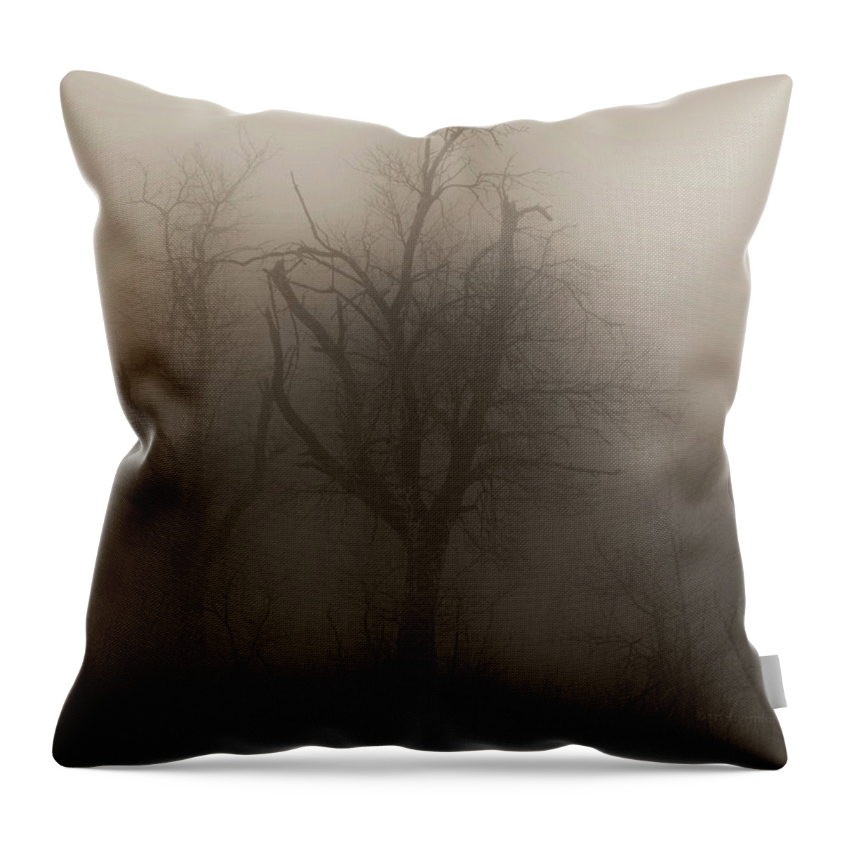 Fog Throw Pillow featuring the photograph Fog 008 by Mimulux Patricia No