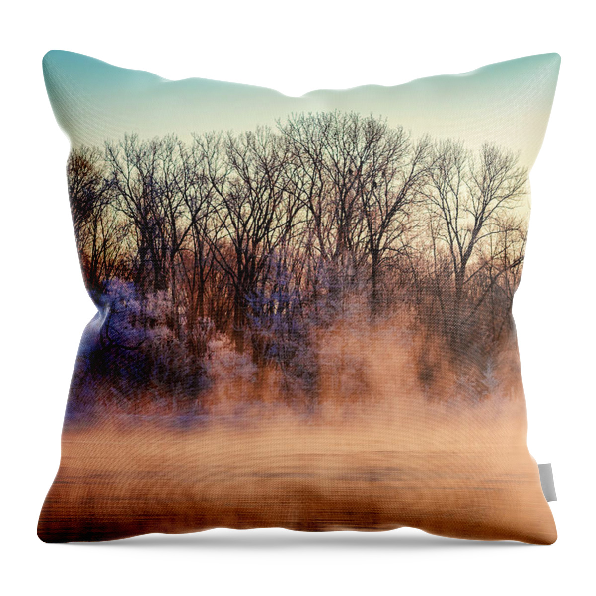 American Bald Eagles Throw Pillow featuring the photograph Fog and Frost on the Wisconsin River 2017-1 by Thomas Young